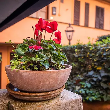 Lägenhet Cosy In The Greenest Corner Of Trastevere